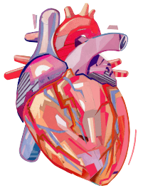 Heart graphic